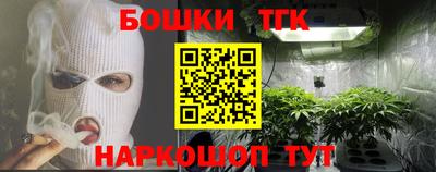 тгк Славгород